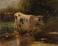 Cow beside a Ditch (c. 1885 - c. 1895) by Willem Maris