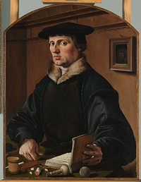 Portrait of a Man, possibly Pieter Gerritsz Bicker (1529) by Maarten van Heemskerck