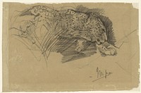 Studies van een luipaard (1857 - 1910) by John Macallan Swan