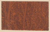 Stroommarmer in zwart op oranje papier (1850 - 1917) by anonymous