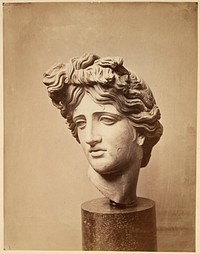 Sculptuur van de kop van Apollo (c. 1850 - c. 1880) by Stephen Thompson and W A Mansell