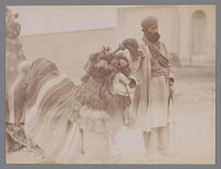 Man met een kameel, Iran [?] (c. 1880 - c. 1910) by Antoine Sevruguin