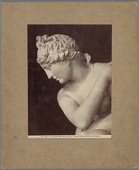Deel van een sculptuur van Venus in de Vaticaanse Musea te Vaticaanstad (c. 1875 - c. 1900) by Alinari