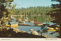 Gezicht op Pinecrest Lake in de Sierra Nevada, Californië (1880 - 1888) by Merle Porter, anonymous and Merle Porter