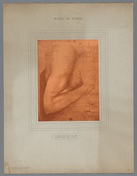 Fotoreproductie van een tekening van Leonardo da Vinci (studie van een arm) (1880 - 1900) by Adolphe Braun and Cie