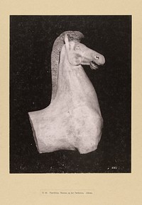Beeld van een paard (c. 1890 - 1895) by anonymous, anonymous and anonymous