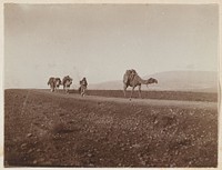 Karavanen in de Bekavallei onderweg naar Baalbek, Libanon en Palmyra, Syrië (1898) by Johannes Lodewijk Heldring