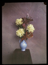 Bloemen (asters) op een vaas (1907 - c. 1935) by C W Immink
