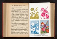 Vier fotoreproducties van een prent van een bloemstuk in verschillende kleuren (c. 1922 - in or before 1932) by L Demoulin and anonymous