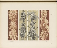 Vier festoenen met maiskolven, knollen, muziekinstrumenten en fruit (c. 1887 - in or before 1897) by anonymous and Gerlach and Schenk