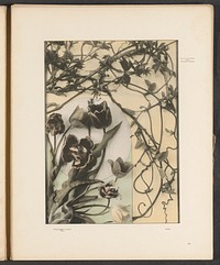 Decoratieve groep met tulpen en pijpbloemen (c. 1887 - in or before 1897) by anonymous and Gerlach and Schenk