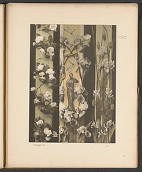 Sierlijsten met rozen, lissen, libellen en een sculptuur (c. 1887 - in or before 1897) by anonymous and Gerlach and Schenk