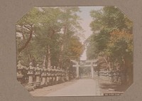 Stenen lantaarns langs een weg in een park in Ueno, Tokyo, Japan (c. 1890 - in or before 1903) by Kusakabe Kimbei