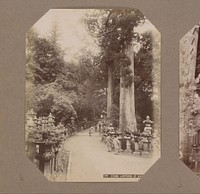 Stenen lantaarns langs een pad van het Shinto heiligdom Kasuga Taisha in Nara, Japan (c. 1890 - in or before 1903) by anonymous