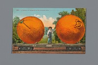 Treinwagon met een jongetje en twee reusachtige sinaasappels (1909) by Edward Henri Mitchell