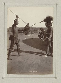 Krijgers met speren in Natal (c. 1880 - c. 1900) by Ebenezer Edmund Caney