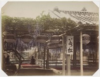 Binnenplaats van theehuis Kameido met bloeiende wisteria in Tokyo (1890 - 1894) by anonymous
