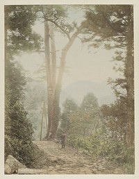 Man bij een boom op een verharde weg bij Hakone (c. 1870 - c. 1900) by anonymous
