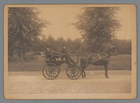 Paardenkoets in het Vondelpark te Amsterdam (1895) by anonymous
