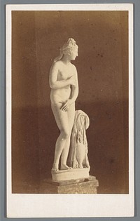 Capitolijnse Venus (1855 - 1885) by anonymous, anonymous and Libreria Spithöver