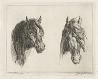 Twee paardenhoofden (1851) by Jacobus Cornelis Gaal and Pieter Gaal