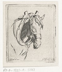 Hoofd van een paard met juk (1854) by Jacobus Cornelis Gaal and Pieter Gaal