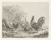 Haan met vijf kippen (1816 - 1881) by Albertus Verhoesen