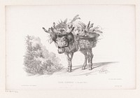 Pakezel met dode herten op zijn rug (in or before 1860) by Martinus Antonius Kuytenbrouwer jr, Martinus Antonius Kuytenbrouwer jr, Joseph Rose Lemercier and Bulla frères