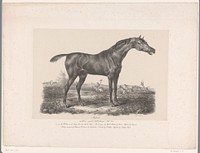 Verschrikt paard (1829) by Carl Fredrik Kiörböe