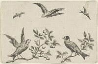 Twee vogels op een tak en drie vogels in de lucht (1675 - 1711) by Pieter Schenk I, Pieter Schenk I and Pieter Schenk I