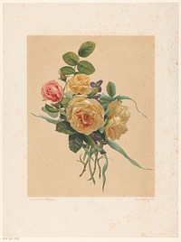 Bos rozen en violen (1845 - c. 1865) by anonymous, Gerardina Jacoba van de Sande Bakhuyzen, Koninklijke Nederlandse Steendrukkerij van C W Mieling and Koninklijke Nederlandse Steendrukkerij van C W Mieling