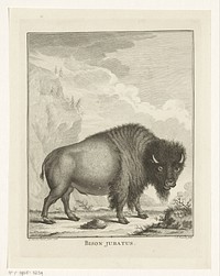 Bizon (1766 - 1774) by Christian Friedrich Fritzsch and G van den Heuvel