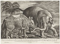 Olifant en neushoorn (1667 - 1717) by Jan Griffier I, Francis Barlow and Pierce Tempest