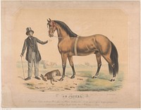 Paard van W.L. de Jager uit Wartena (1851 - 1861) by Abraham Hendrik Winter, Abraham Hendrik Winter and Pieter Wilhelmus van de Weijer