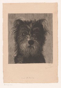 Kop van een hond (1872 - 1909) by Eugène Cosyns and Auguste Danse