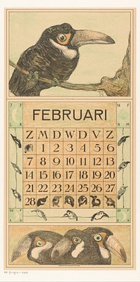 Kalenderblad februari met toekan (1914) by Theo van Hoytema, Tresling and Comp, Allart de Lange and Firma Ferwerda en Tieman