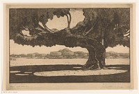 Waringinbomen in de tuin van het paleis van de sultan in Jogyakarta (1910) by Wijnand Otto Jan Nieuwenkamp