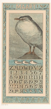 Kalenderblad maart met zilvermeeuw (1907) by Theo van Hoytema, Tresling and Comp and Theo van Hoytema