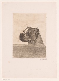 Kop van een hond vanachter een houten balk (1866 - 1910) by Louis van Engelen