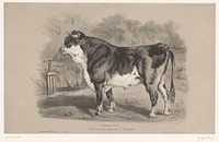 Stier in een weiland (c. 1850 - in or before 1870) by Joseph Zephyris Gengembre, Joseph Rose Lemercier, François Delarue and Ernest Gambart