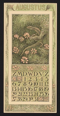 Kalenderblad voor augustus 1911 met een hagedis en dopheide (1910) by Theo van Hoytema, Theo van Hoytema and Tresling and Comp
