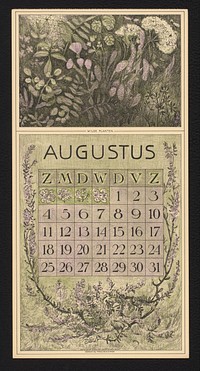 Kalenderblad voor augustus 1912 met wilde planten (1911) by Theo van Hoytema, Theo van Hoytema and Tresling and Comp