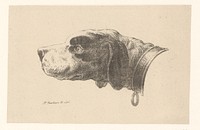 Hondenkop met halsband (1809 - 1837) by Pieter Bartholomeusz Barbiers