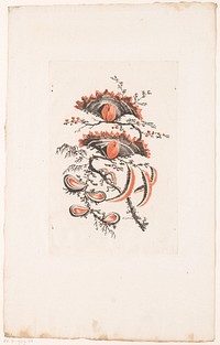Waaiervormige bloemen (1770) by Edouard Gautier Dagoty, Jean Baptiste Pillement and Charles Leviez