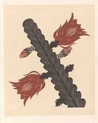 Bloeiende cactus (epiphyllum) (1929) by Samuel Jessurun de Mesquita