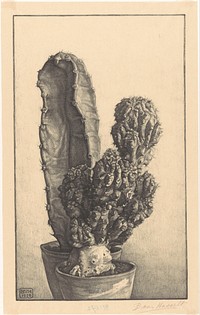Caktussen (1930) by Bertha van Hasselt