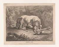 Slapende hond (1738 - 1828) by Élie du Mesnil, Jean Baptiste Oudry and Christian von Mechel