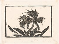 Plant met bloem (1892 - 1951) by Janus de Winter