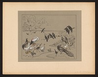 Groep diverse vogels en een kikker (1892) by Theo van Hoytema and Firma S Lankhout and Co