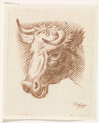 Kop van een stier (1789 - 1859) by Pieter de Goeje